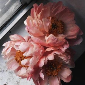 Meet your Posher, Mayra